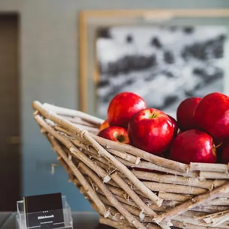 希尔德布兰特的酒店 新明斯特