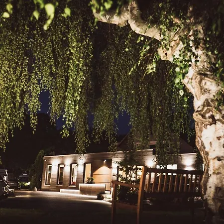 Otel Hildebrandt's 3*