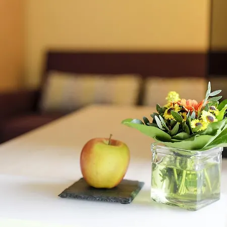 希尔德布兰特的酒店 酒店 新明斯特