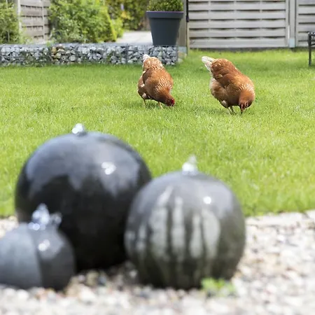 希尔德布兰特的酒店 新明斯特