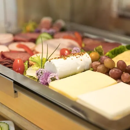 希尔德布兰特的酒店 新明斯特