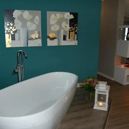 酒店 希尔德布兰特的酒店 新明斯特