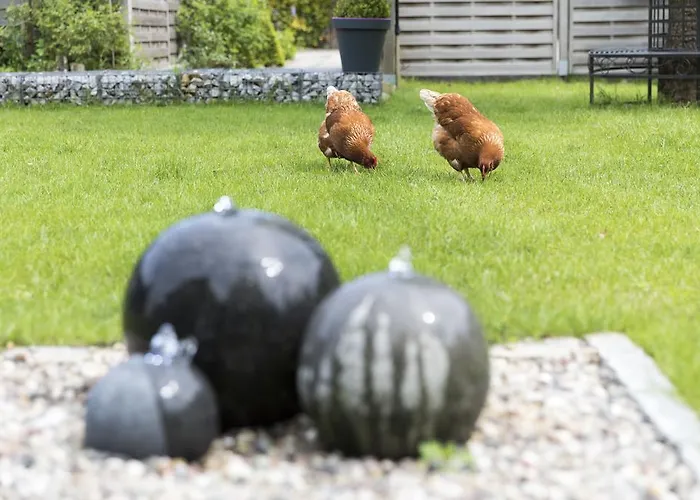 Hildebrandt's 노이뮌스터